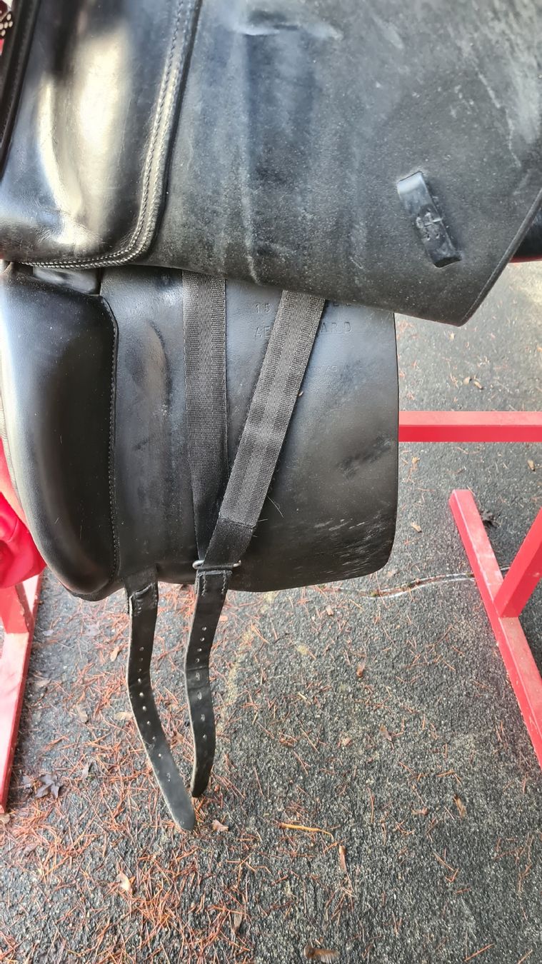 Selles, accessoires: la belle sattel – D'occasion à Trimbach par Meily2 2