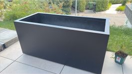 Vends 2 Bacs rectangulaires noirs pour plantes prix/unité