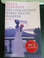 Die Geschichte eines neuen Namens  ( ROMAN )