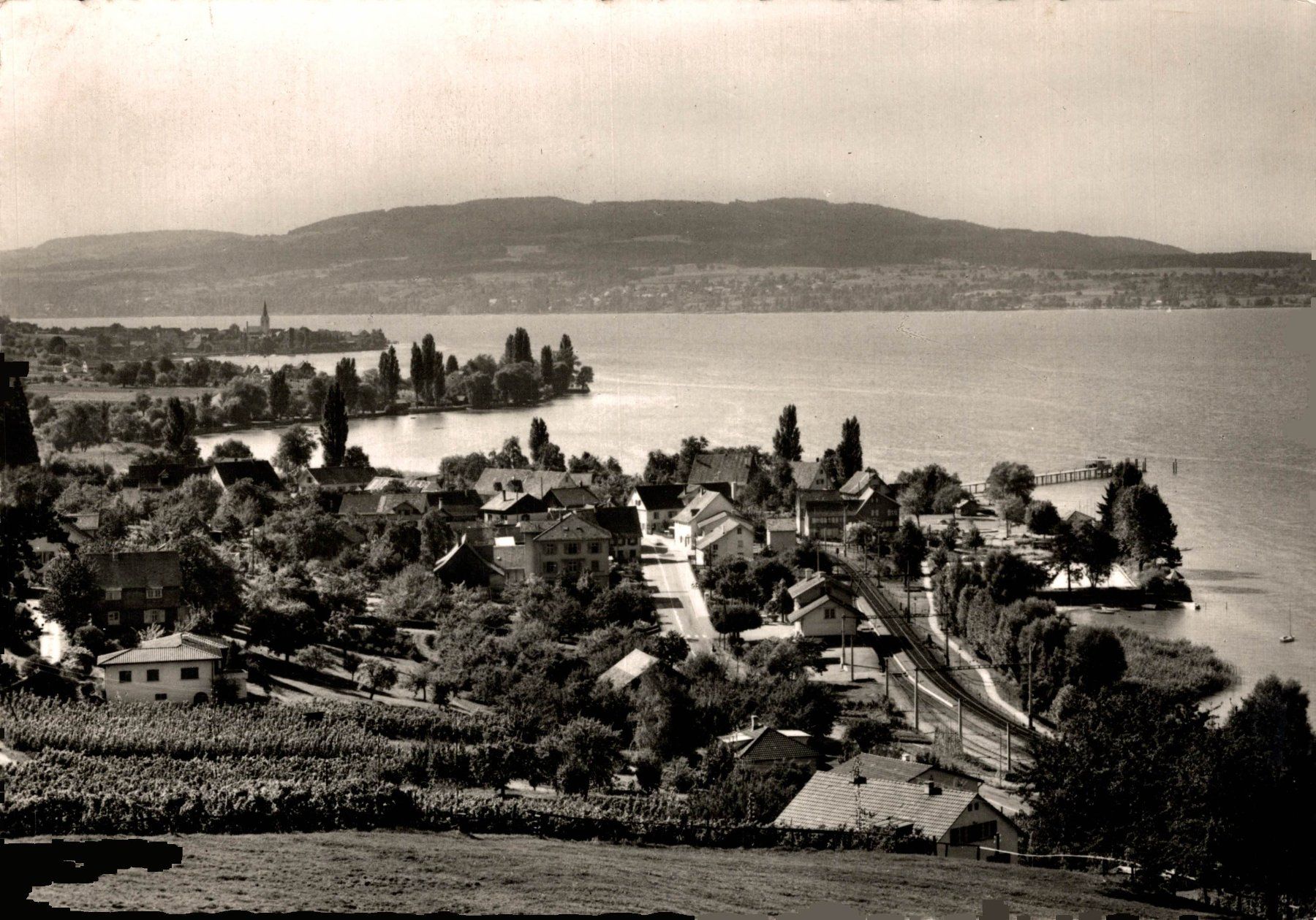 Cartoline postali: Mannenbach / TG am Untersee – Usato da Bronschhofen venduto da Astore