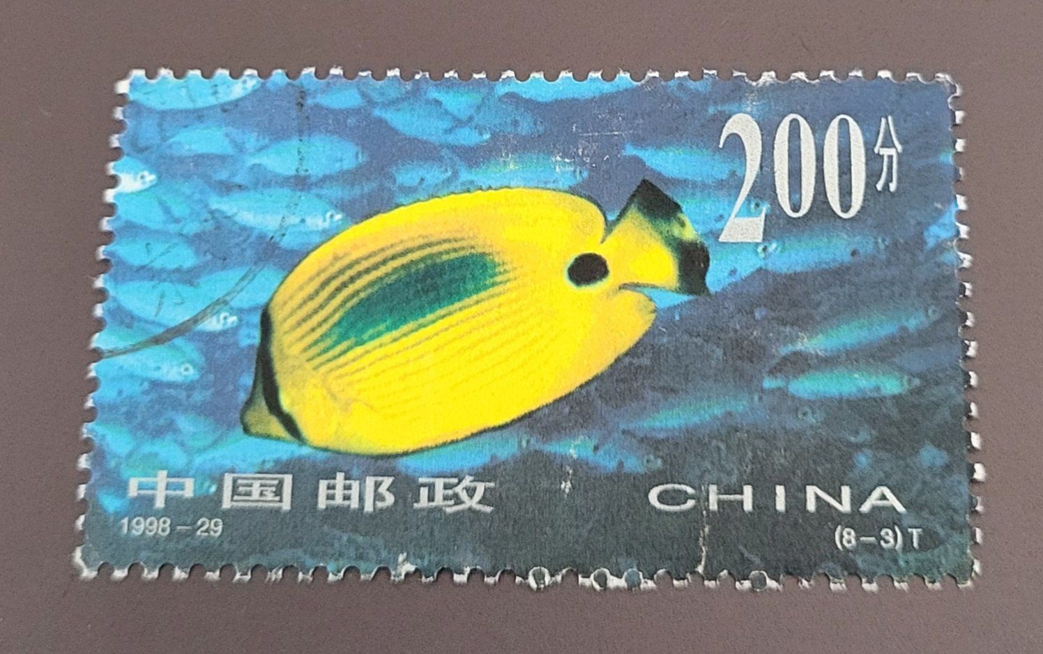 Tutti i francobolli: China 1998 Fische briefmarke – Usato da St Gallen venduto da Stampsalshobby