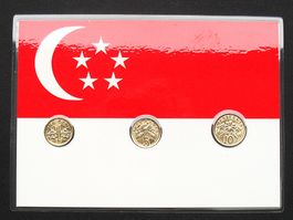 SINGAPUR - Münzen vergoldet