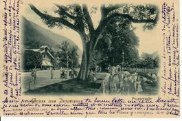 Gruss aus Interlaken Promenade 1903  - Stabstempel