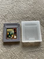 Nintendo GameBoy Spiel  - Oddworld Adventures mit Hülle