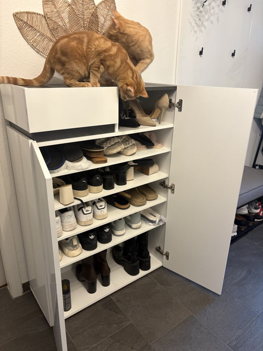 Schränke: Schuhschrank – Gebraucht aus Winterthur von ana_ds2c 1