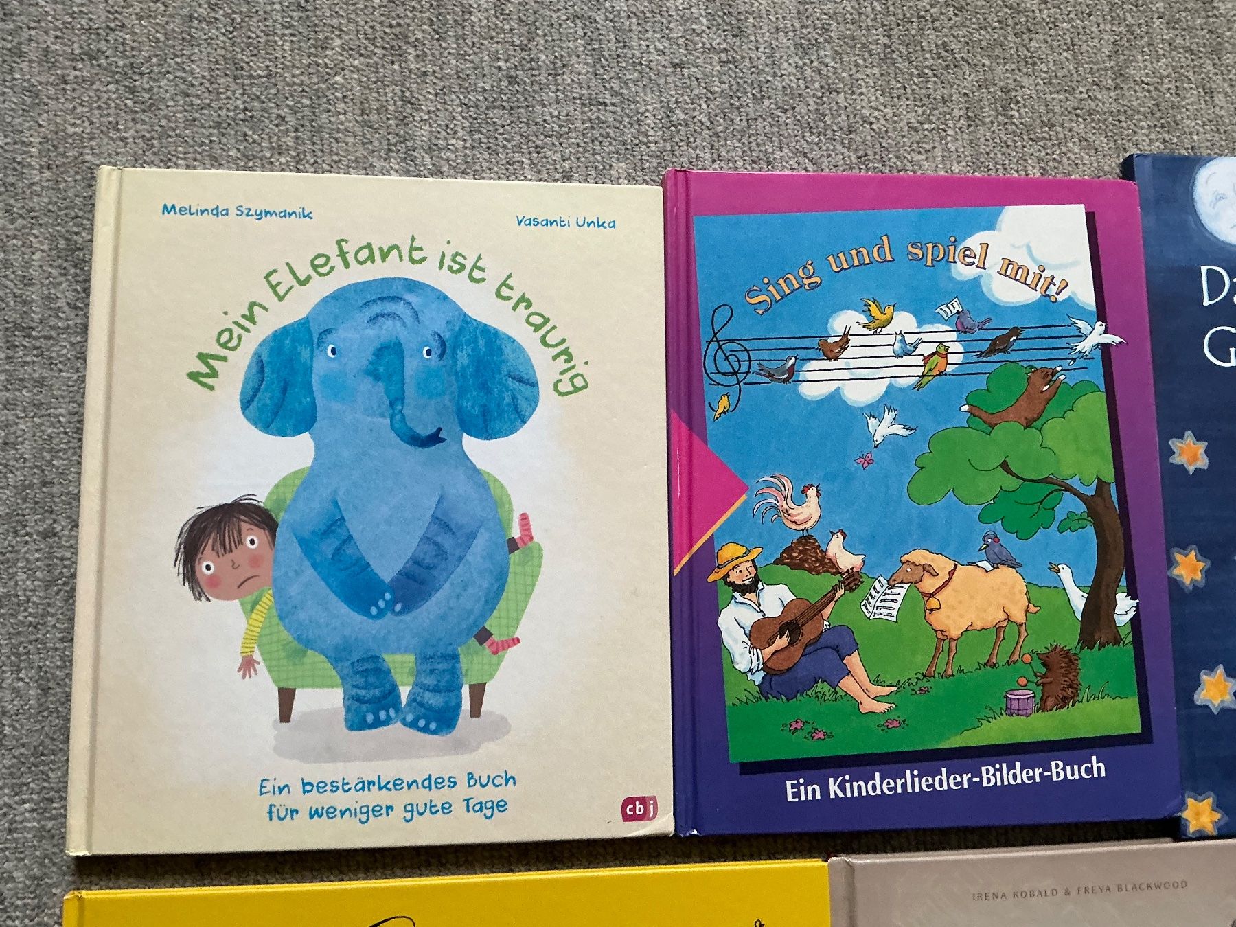 Bücher: super schönes Kinderbuch-Paket, 12 Bücher – Gebraucht aus Jona von Jancy60 1