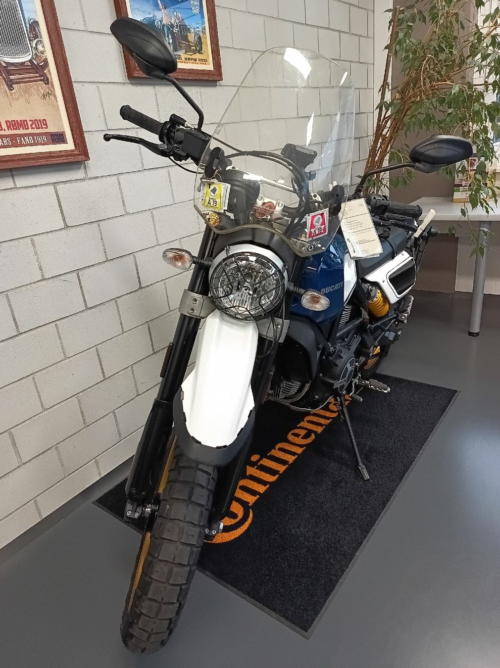Ducati Enduro: Ducati Desert Sled – D'occasion à Riet (Neftenbach) par arm_8255 5