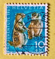 Nr.J 211 GESTEMPELT Alpenmurmeltier 1965  