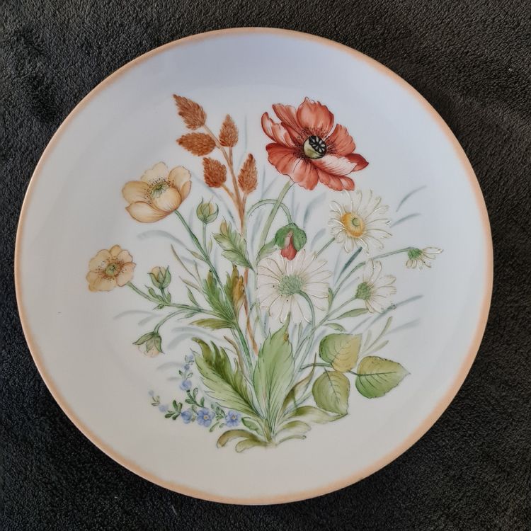 Wunderschöner Wandteller, handbemalt, Blumenmotiv (Neu (gemäss ...