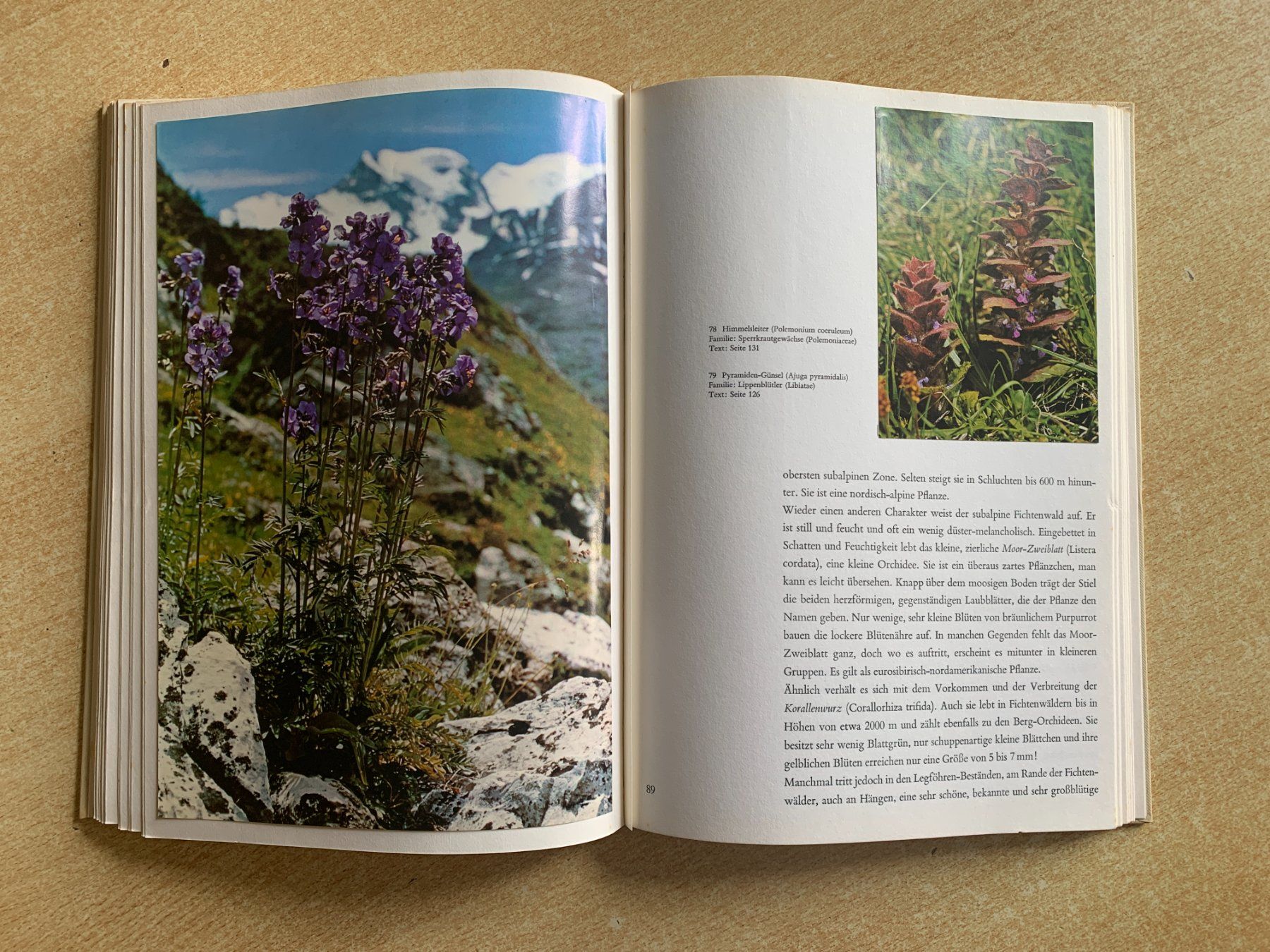 Bücher: Buch "Alpenblumen" – Gebraucht aus Flums von finn1975 5
