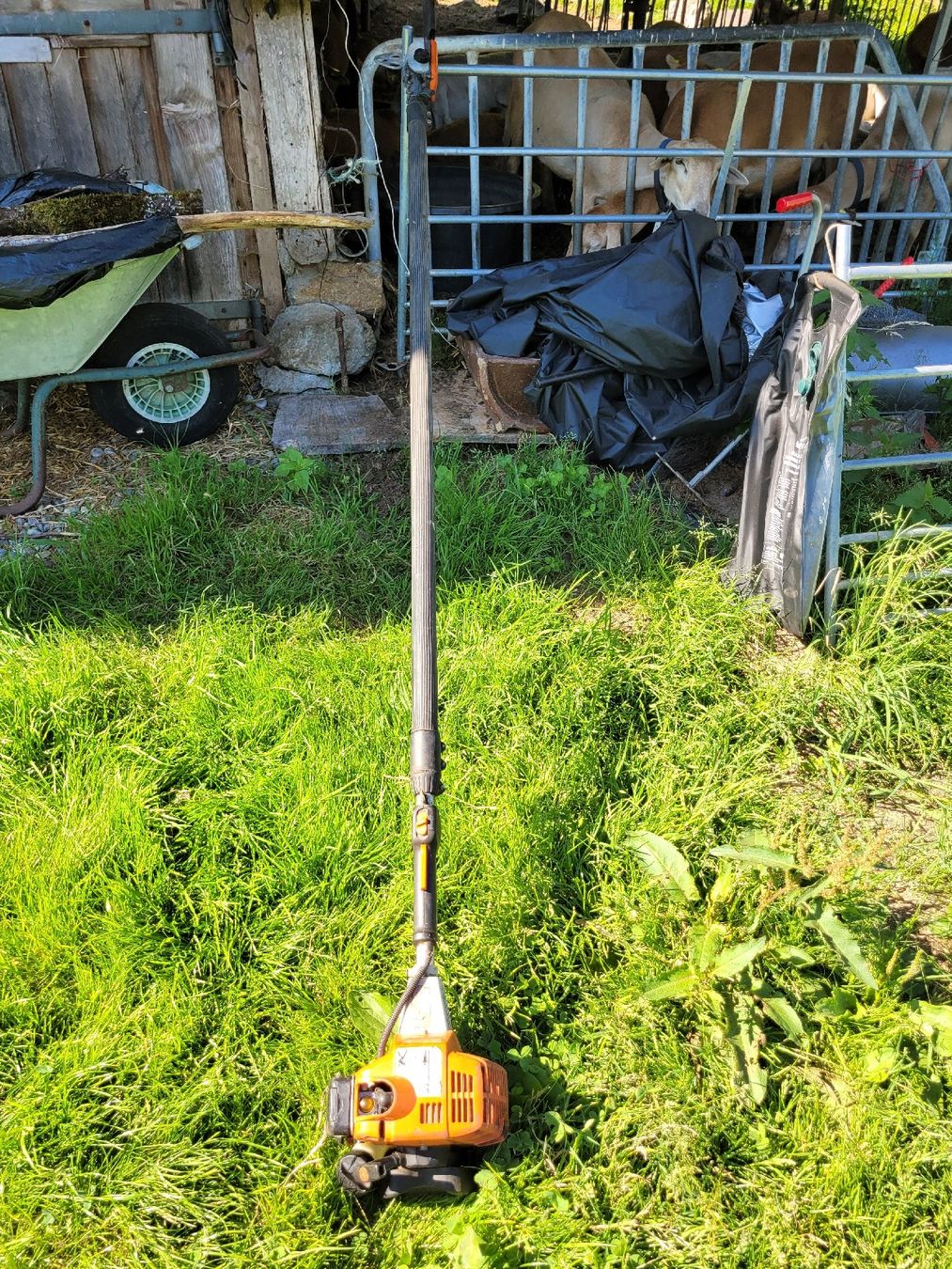 Seghe: Stihl HT 75 Hochentaster Gebraucht  – Usato da Brienz BE venduto da Hundechef 4