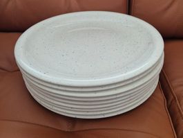 9 grandes assiettes 29 cm porcelaine anglaise John Tams P8