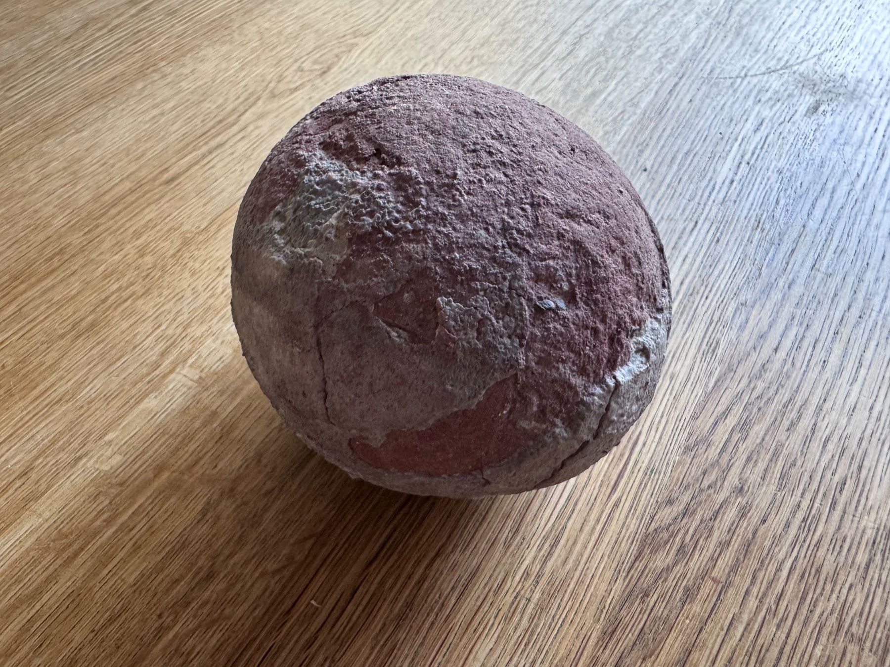 Fossili: Echtes Dinosaurier Ei Hadrosaurus Fossil – Usato da Zürich venduto da xevious69 2