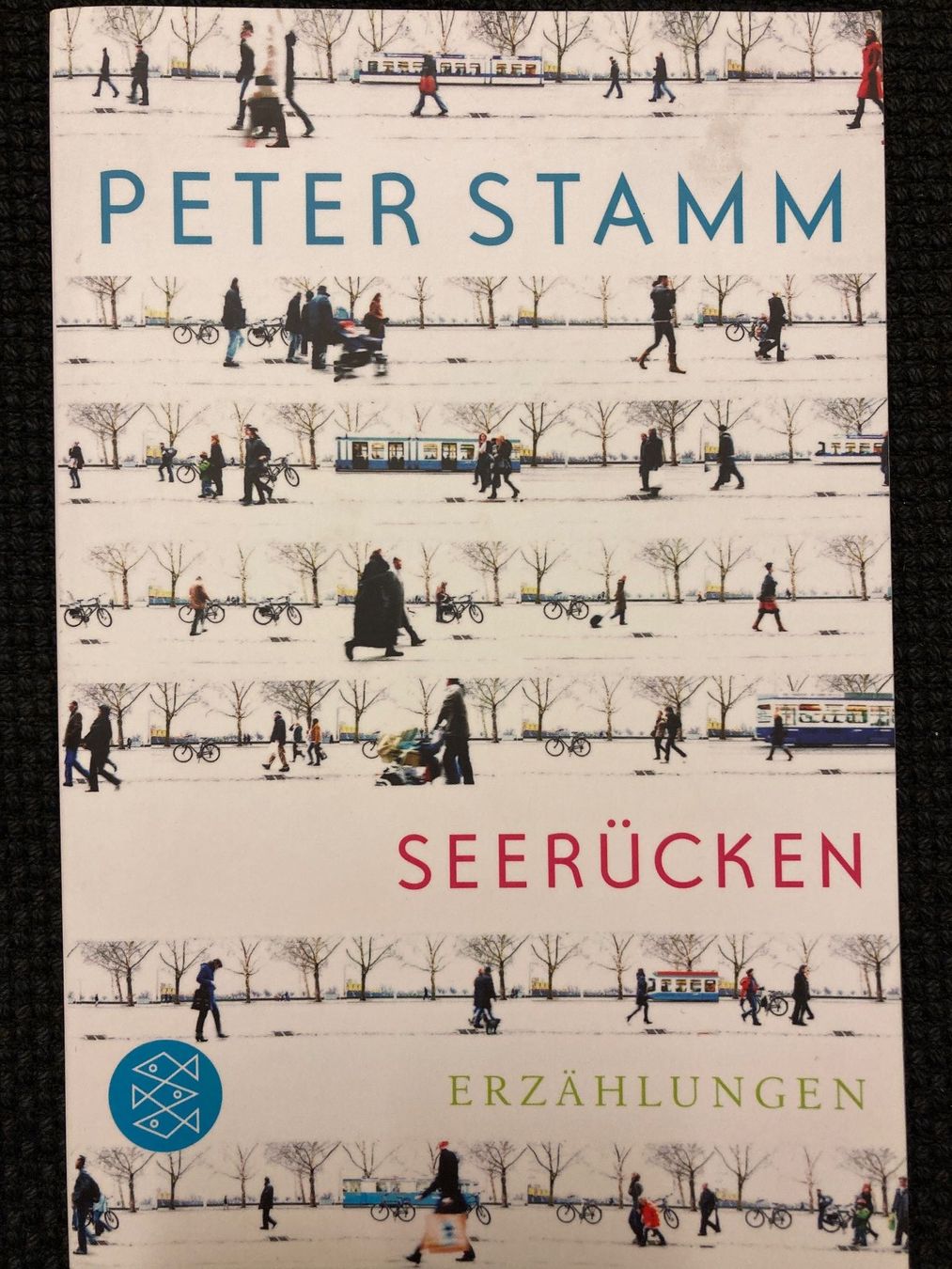Libri: Peter Stamm, Seerücken – Usato da Baden venduto da Yoyo1