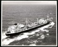 Fotografie Frachtschiff / Frachter Loxin
