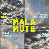 Jim Black – Malamute (CD Intakt) 2017