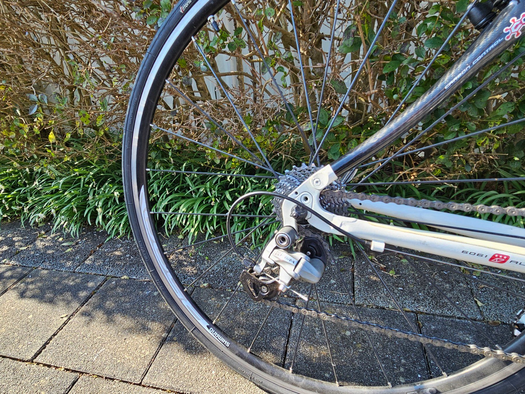 Biciclette: Marin Damenrennrad – Usato da Giffers venduto da hansi100 2