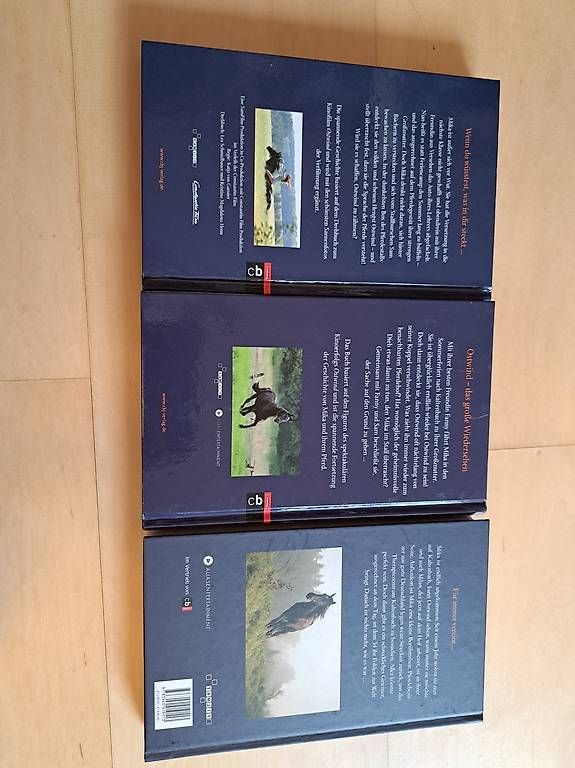 Bücher: Ostwind Bücher zu verkaufen  – Gebraucht aus Zofingen von sel_67z6 1