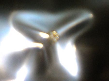 Edelsteine: ECHT DIAMANT,,GELB,,VVS1,,0.1 KARAT – Neu (gemäss Beschreibung) aus Basel von bijoutrie_4 2
