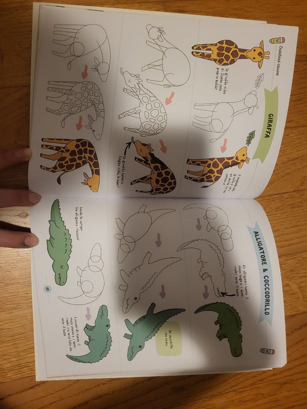 Libri: Kawaii buch mit Tutorials (Italienisch) – Nuovo (secondo la descrizione) da Birmenstorf AG venduto da dou_w2ts 4