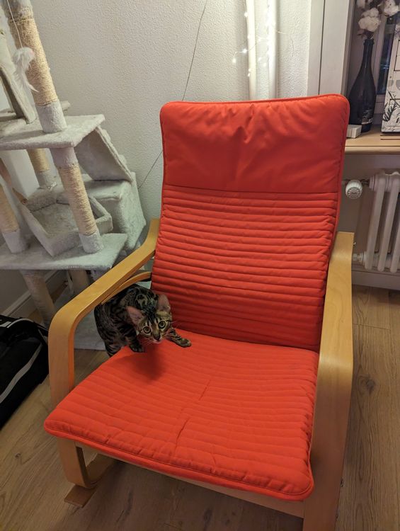 Ikea POANG Sessel Kaufen auf Ricardo