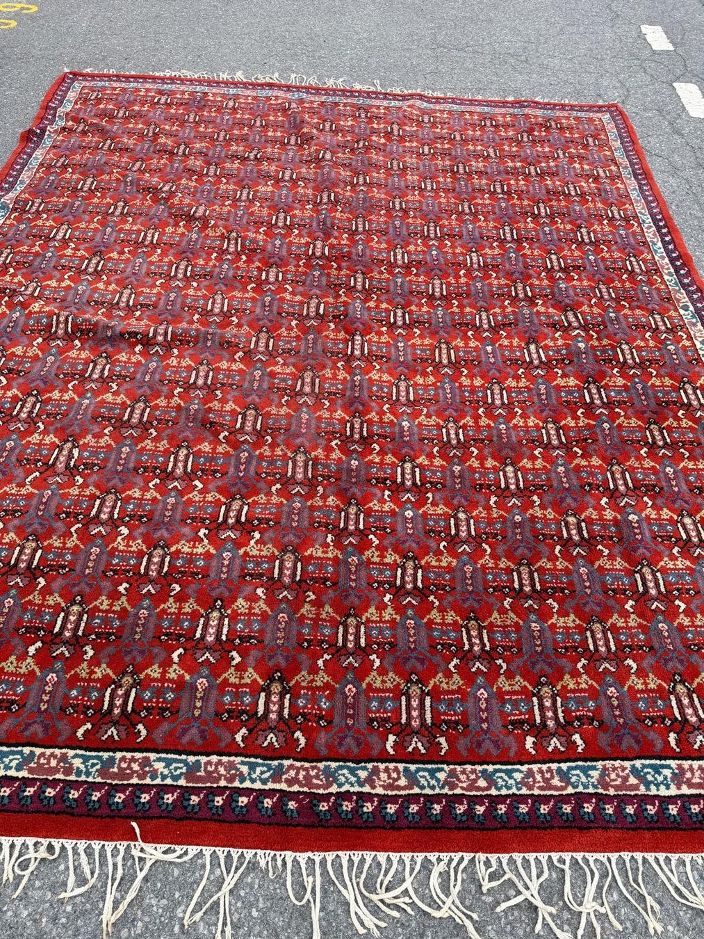 Tapis: wunderschöne handgeknüpfte Teppich  – D'occasion à Grenchen par has_y6xd 2