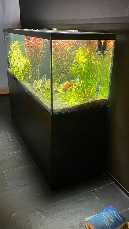 Aquarium 600 Liter In Brandenburg – JCDAT