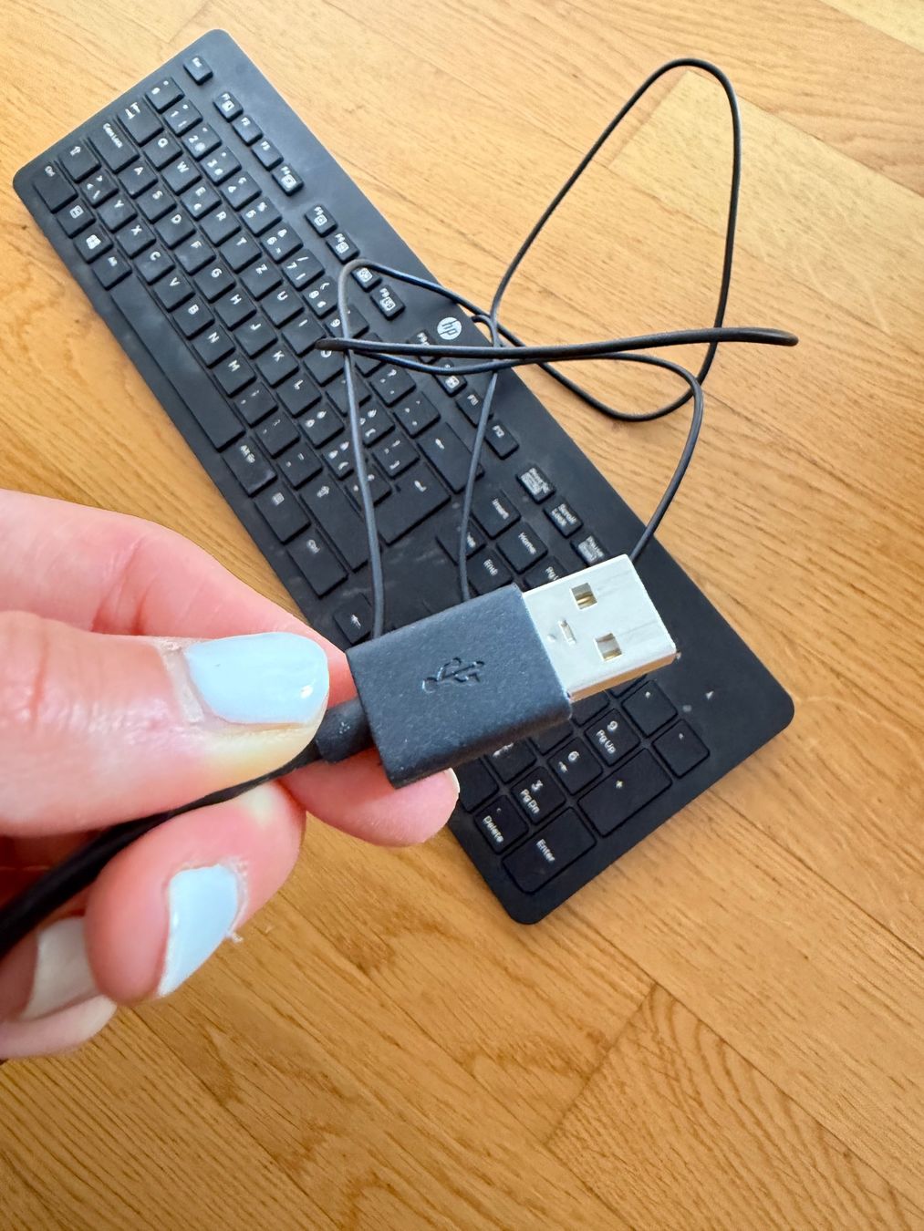 Hewlett Packard Tastiere: hp Tastatur – Usato da Chur venduto da Caroline__ 1