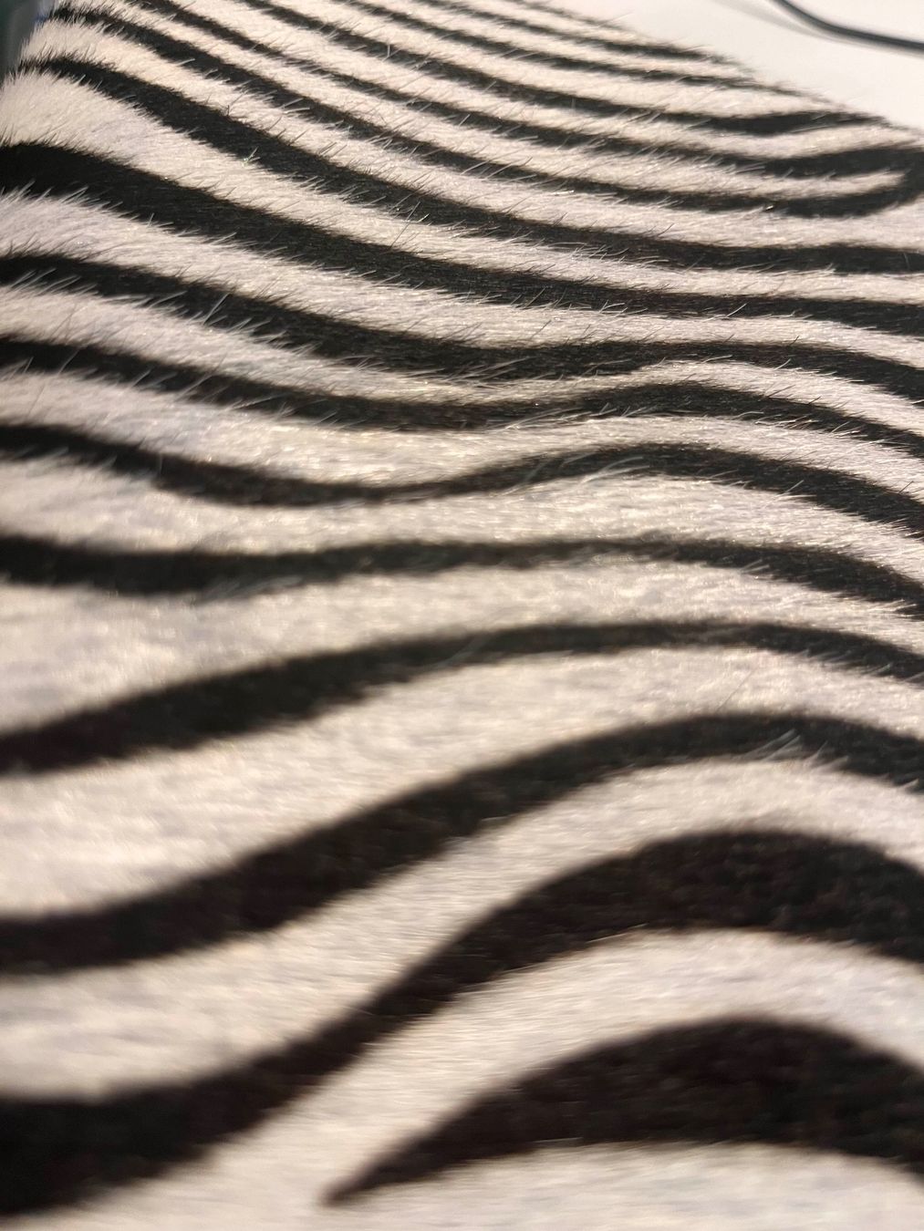 Borse da donna: Leder Handtasche Zebra Muster Damen – Nuovo (secondo la descrizione) da Zürich venduto da istvanfarkas 3