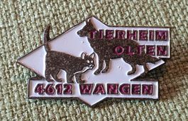 G550 - Pin Tierheim Olten Wangen Schweiz