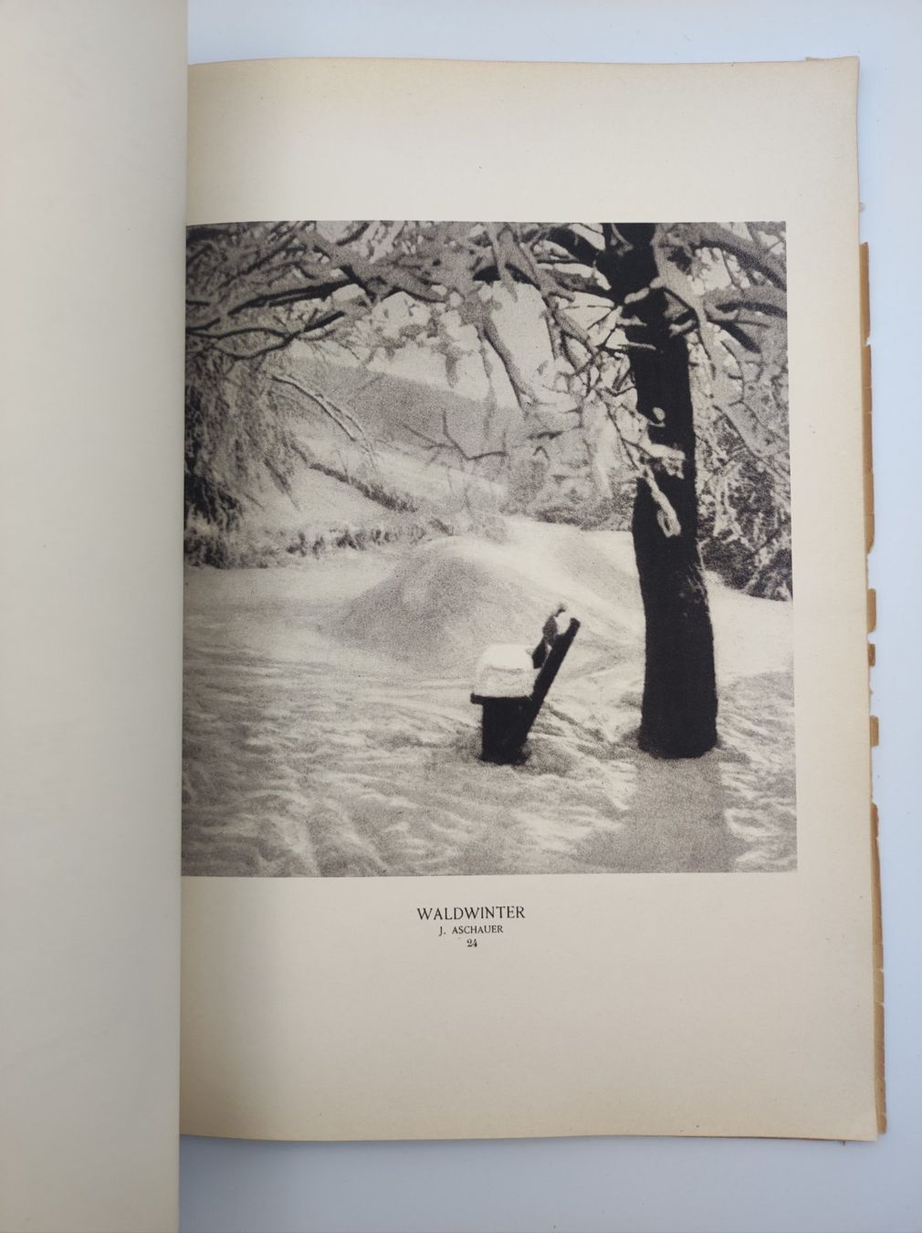 Libri: PHOTOGRAPHIE - SALON INTERNATIONAL – Usato da Goldach venduto da Gaip 3