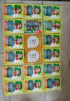 Fussball Stickers Algerien Panini  2026 Konvolut
