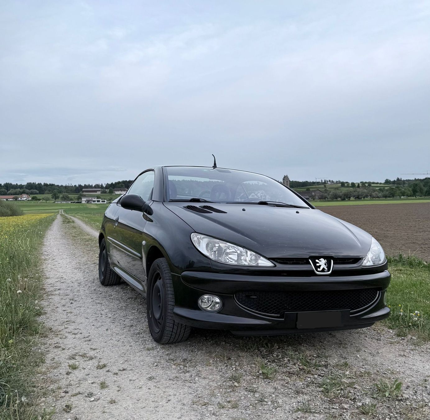 Peugeot Automobili: Peugeot 206 CC 2.0 Cabrio – Difettoso da Weingarten-Kalth venduto da Idesiree 1