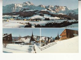 Hemberg 1980