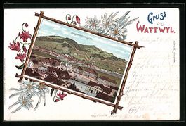 Litho Wattwyl, Ortsansicht aus der Vogel