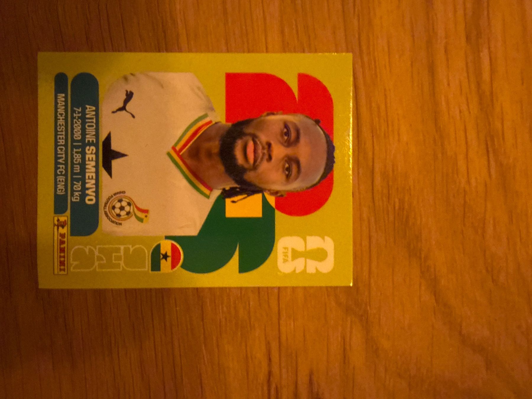 Panini Carte collezionabili: Panini – Usato da Langnau i. E. venduto da Acrjl