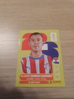 Panini WM 2026 PAR 16