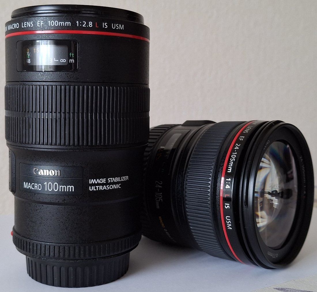 Canon Obiettivi: Canon Objektive EF 100 Macro und EF 24-105 – Usato da Niederhasli venduto da elise_sr2