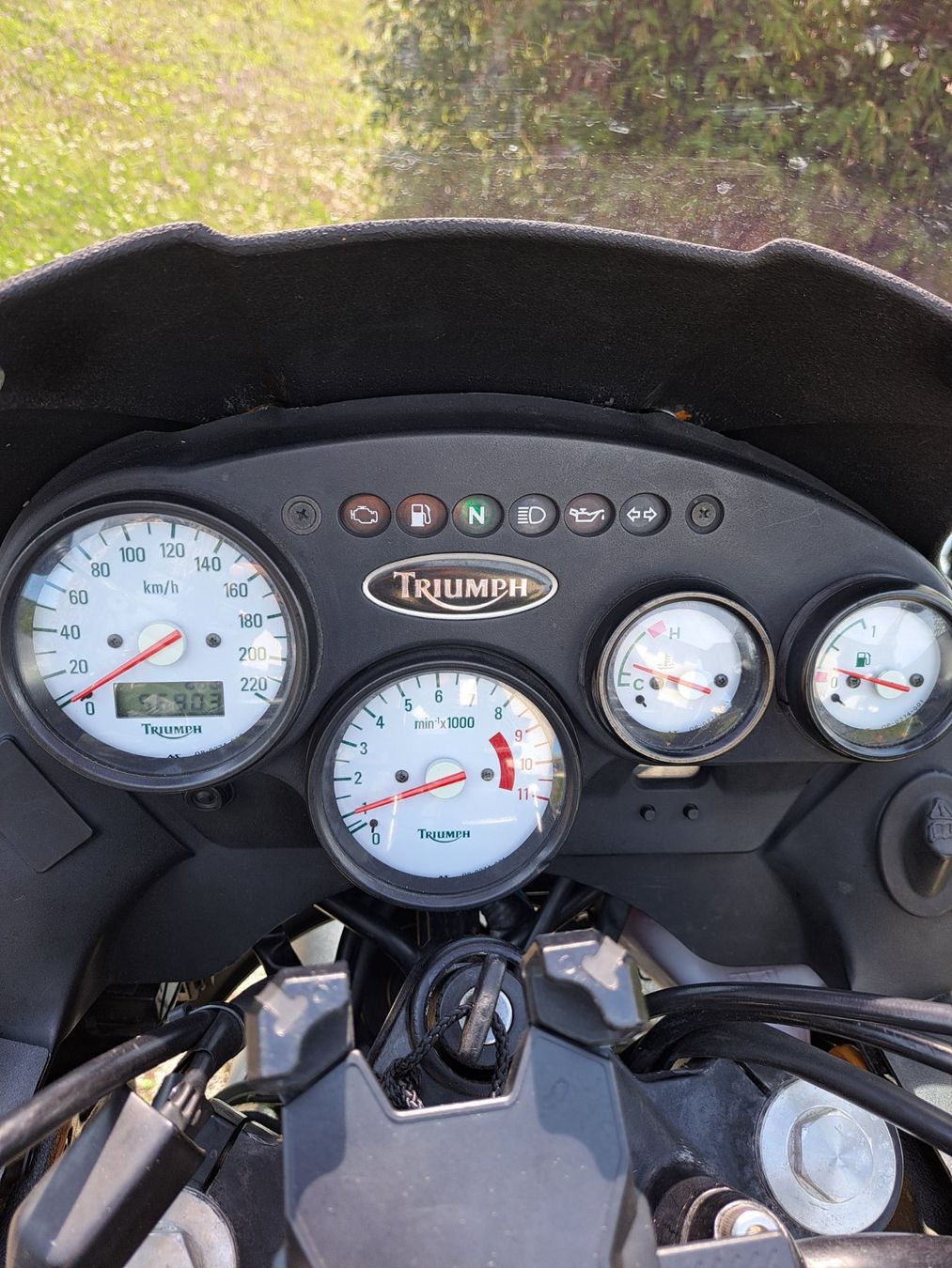 Triumph Touring: Triumph Tiger 885  ab 1111.- Chf. – Usato da Zürich venduto da masscun 7