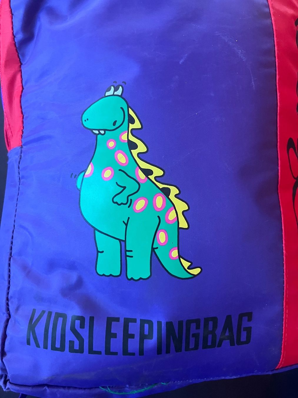 Sacchi a pelo: Kidsleepingbag Dino – Usato da Knonau venduto da ReMaaaan 1
