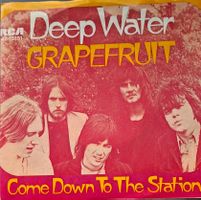 Vinyl Single Grapefruit - Deep Water