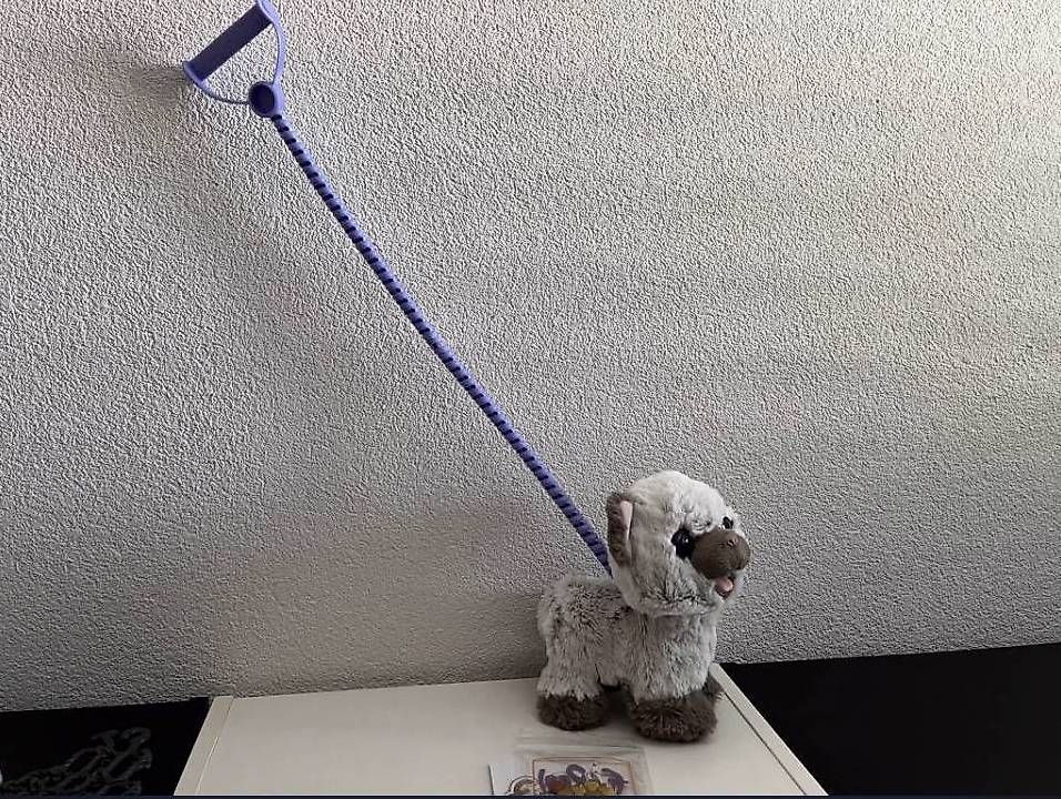 FurReal Giocattoli: Fur Real chat avec laisse – Usato da Martigny venduto da jcj_j2fb 1