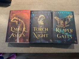 Buch „An Amber in the Ashes“