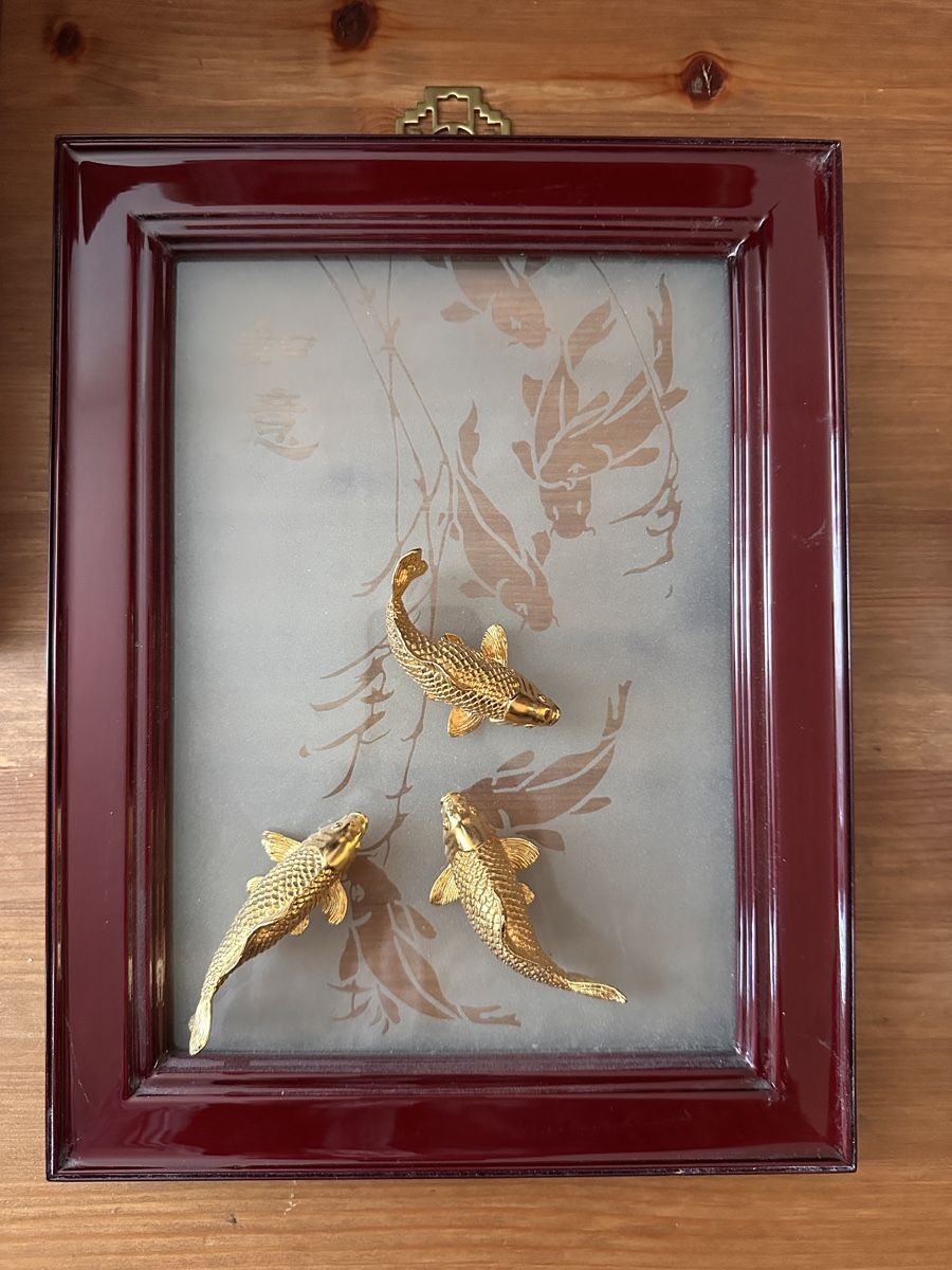 Foto & Immagini: Wandbild Gold-Koi – Usato da Schinznach-Dorf venduto da Hpurzel