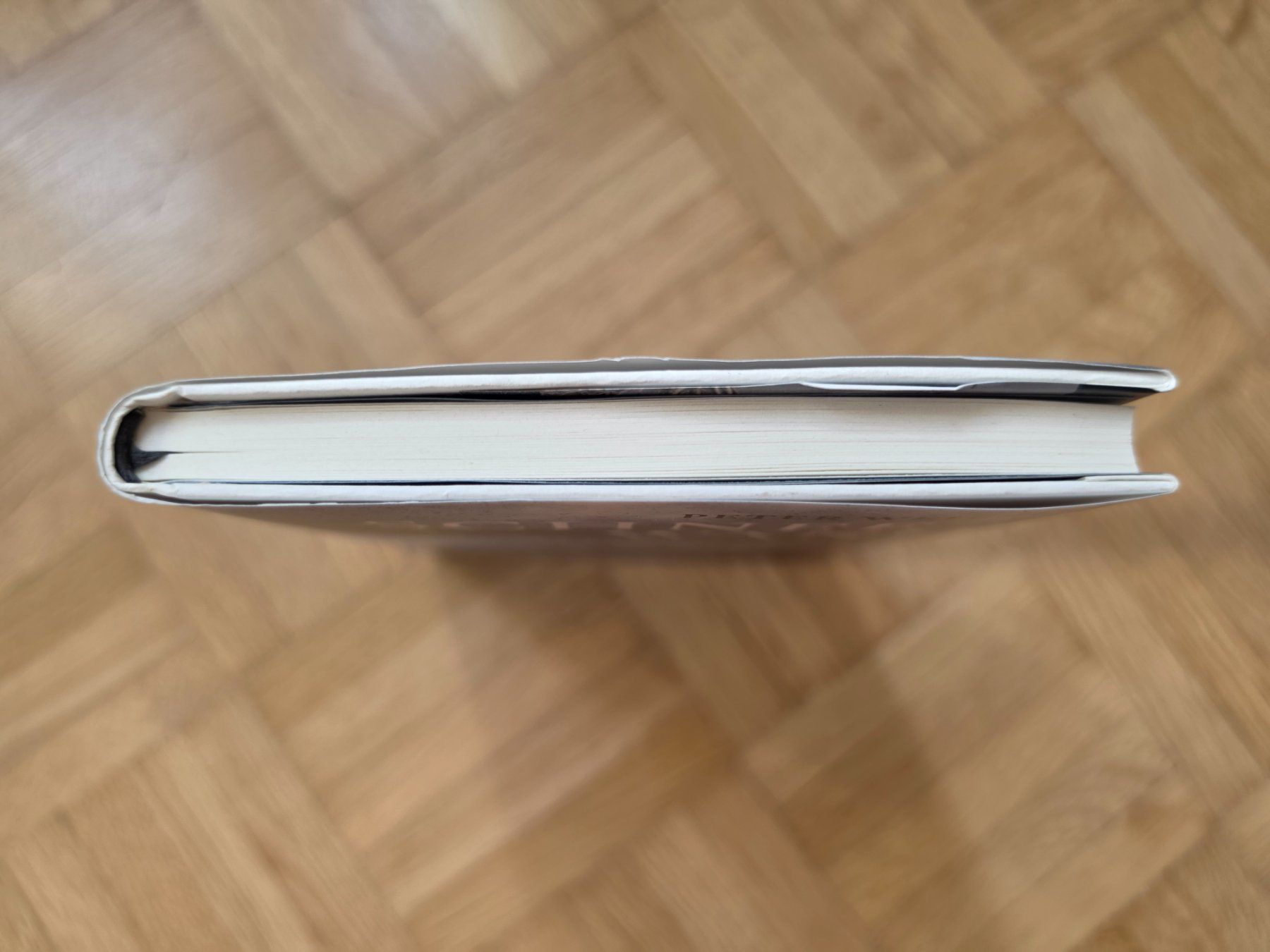 Bücher: Peter Weibel - Schneewand – Gebraucht aus Stäfa von flamingo_17 2