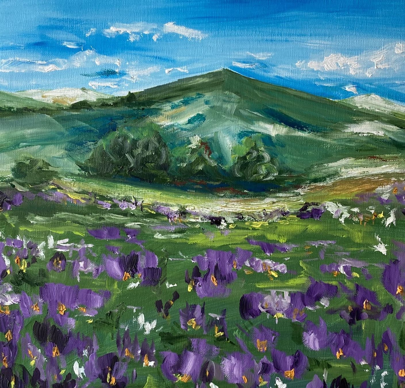 Dipinti: Berglandschaft mit Blumenwiese, Original Ölgemälde – Nuovo (secondo la descrizione) da Cham venduto da Felha 8