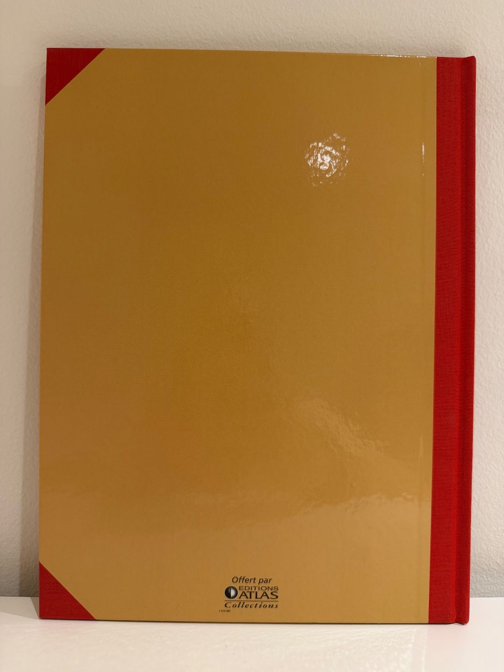 Fumetti: SPIROU ET FANTASIO "Panade à Champignac" Grand Format 2006 – Nuovo (secondo la descrizione) da Bernex venduto da amidala_70 2
