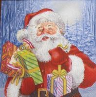 Serviette santa (w221)