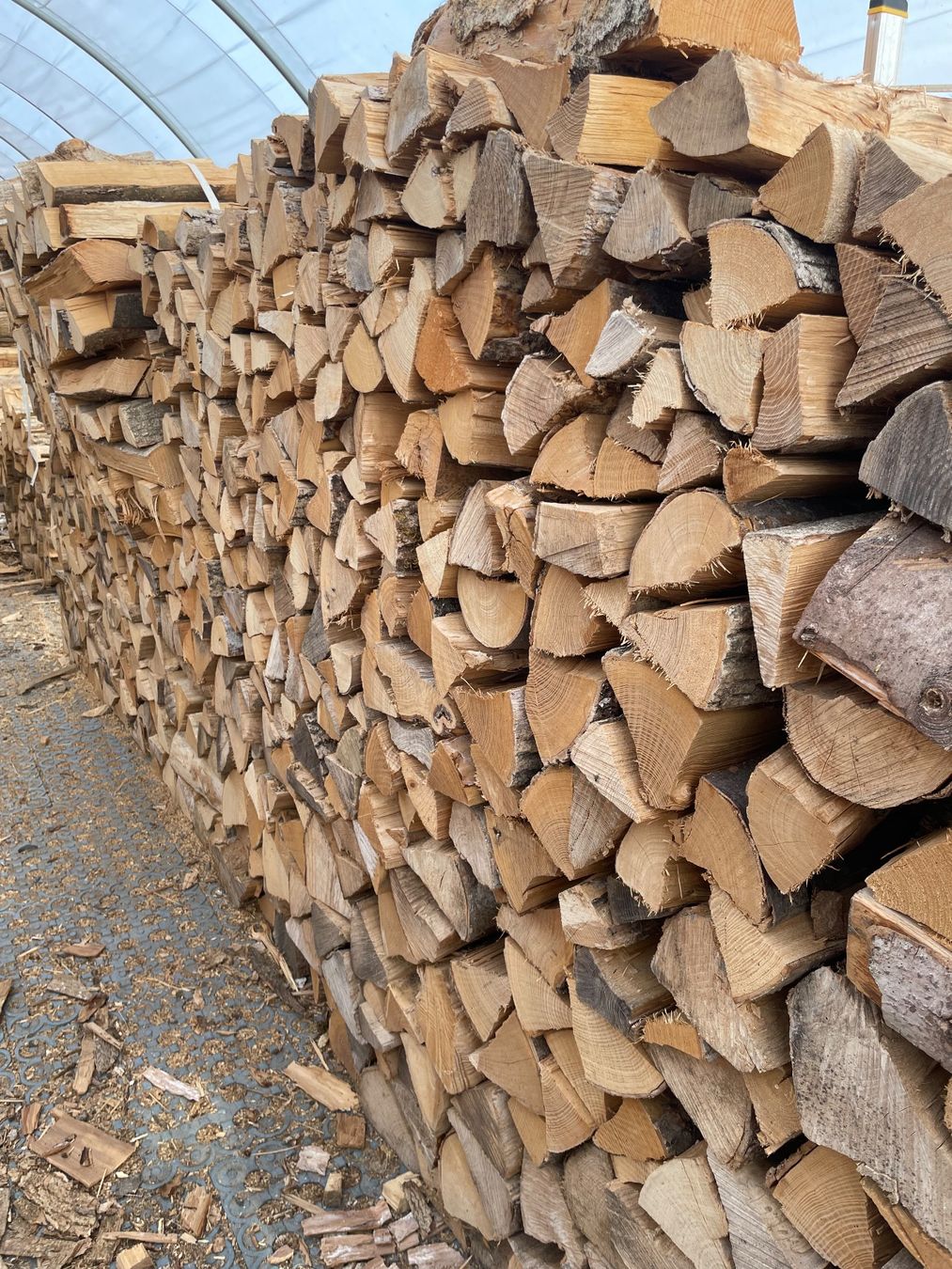 Articoli in legno: Brennholz Laubholz 50cm – Nuovo (secondo la descrizione) da Egnach venduto da Holzschitli.ch 1