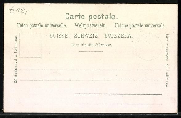 Cartoline postali: Litho Bergpanorama aus dem Berner Oberla – Usato da Berlin venduto da bartko-reher 1
